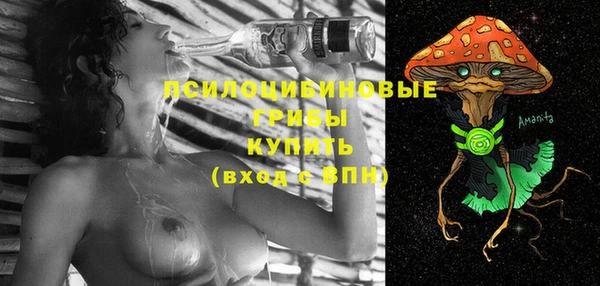 стаф Балахна