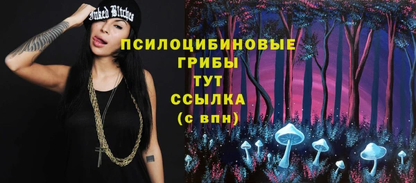 стаф Балахна