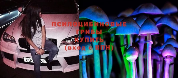 стаф Балахна